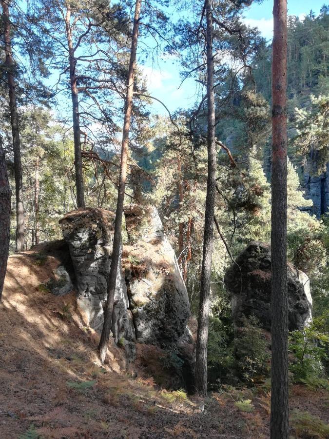 Pension Král Jablonec nad Nisou Bagian luar foto